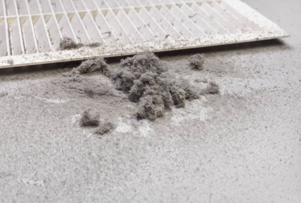 Best Residential Air Duct Cleaning  in Lincoln Rk, PA